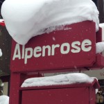 B Alpenrose-y